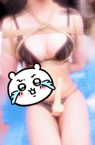 ご主人様(,,> <,,)画像１