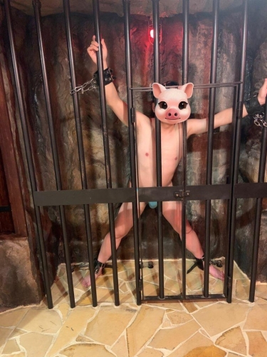 ごきげんよう画像２