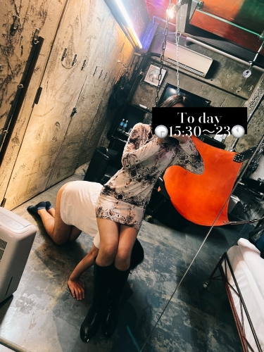 アルファインのお椅子画像１