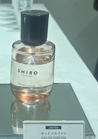 桜が咲き始めましたね。画像２