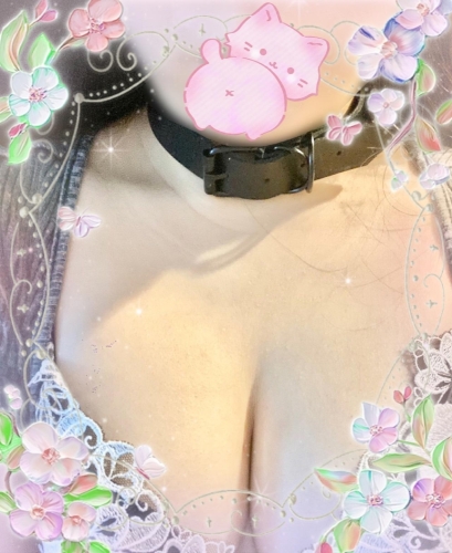 本日⭐︎画像１