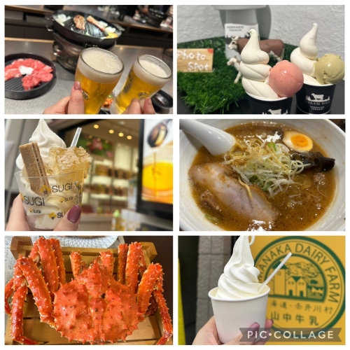 予定。画像１