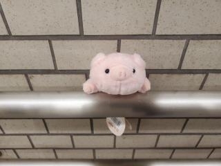 久しぶりに(*^^*)画像１