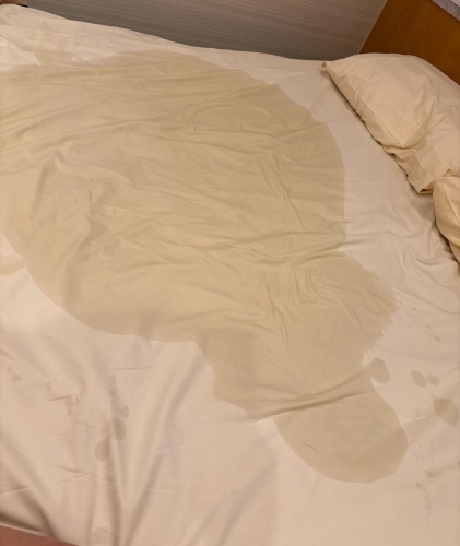 お礼✩.*˚画像１