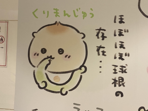 らっきょ画像１