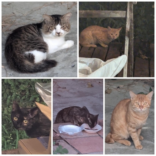 おはようございます✨画像２