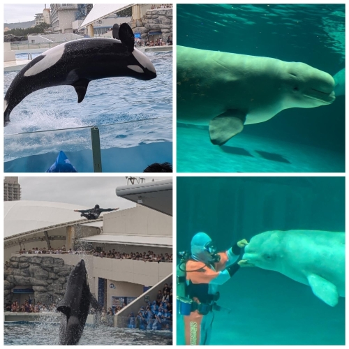 続きのお写真📷️✨画像２