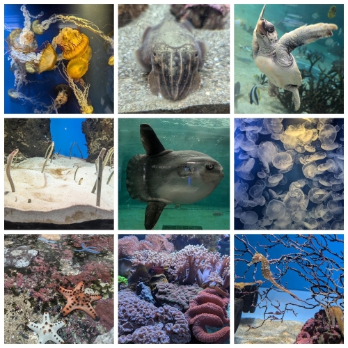 続きのお写真📷️✨画像３