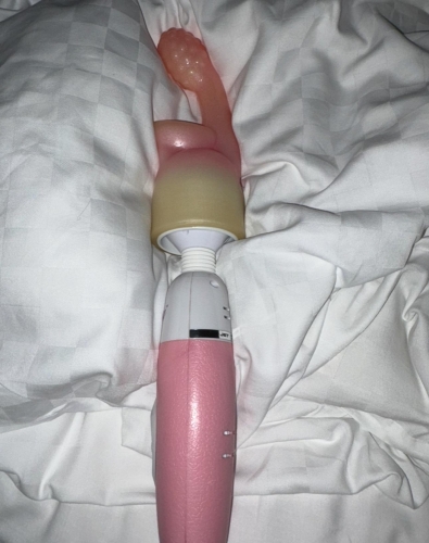 🍂🍂🍂画像１