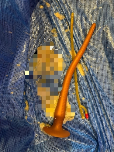 オナニーに耽る秋。画像２