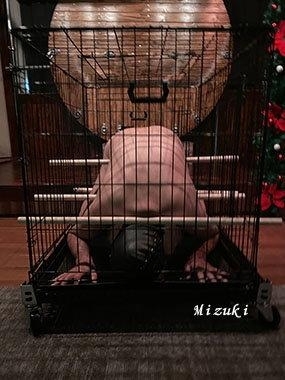 2月画像１