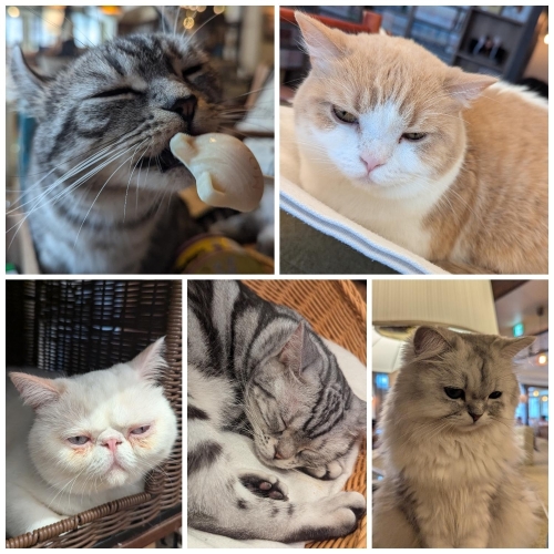 予約表変更しました！✨画像２