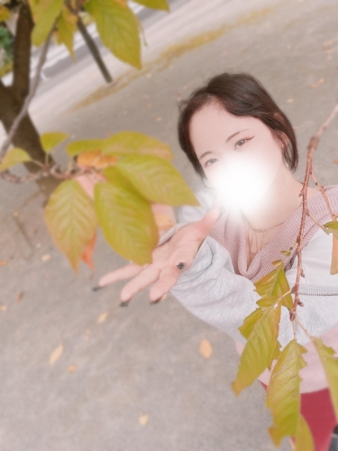 はじめての!!画像１