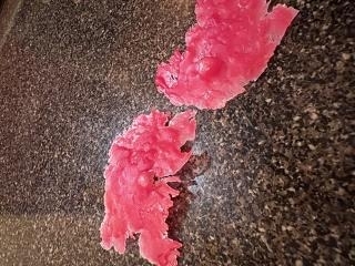 これなーんだ？画像１