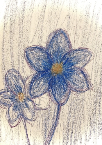 楽しい一日❄️画像１