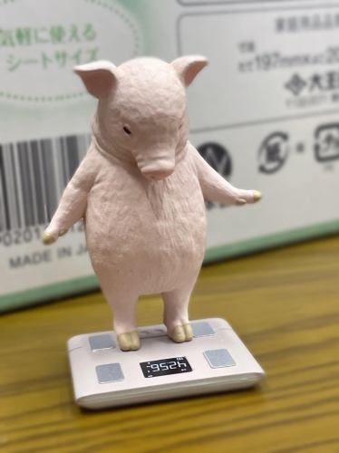豚って実は(˶'ᵕ'˶ )‪︎画像１