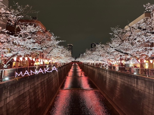 れいにーぶるー画像１