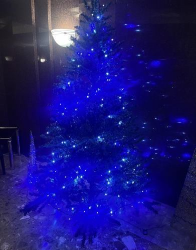 お礼日記〜池袋 ララ〜画像１