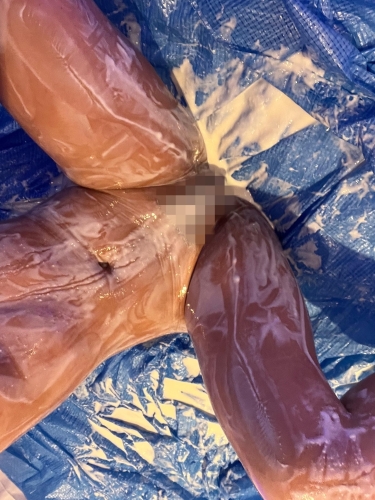 お礼日記〜五反田 サラ〜画像１