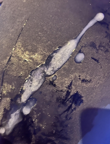 連投すみません🙏画像１