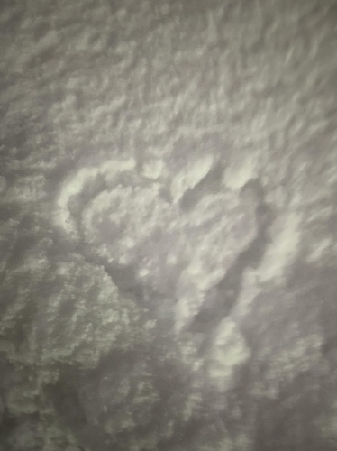 ☃️🥶💞画像２