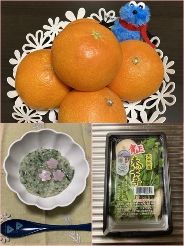 しおりの日記画像１