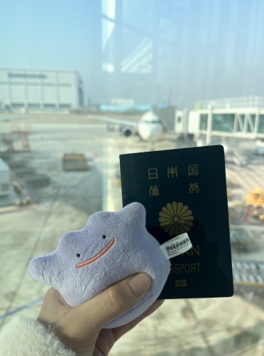 休日満喫🌱画像３