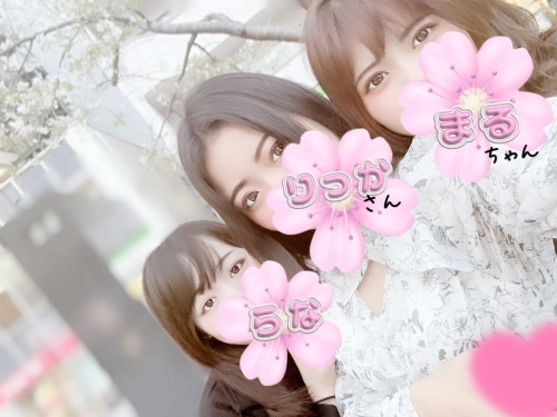 桜がいい季節(●︎´▽︎`●︎)画像１