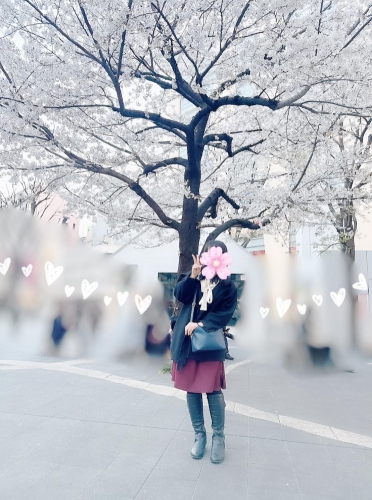 桜がいい季節(●︎´▽︎`●︎)画像２