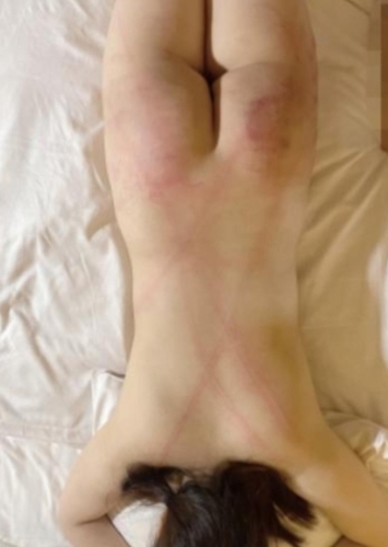 𐔌՞ ܸ.ˬ.ܸ ՞𐦯画像１