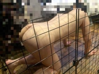過去画像１