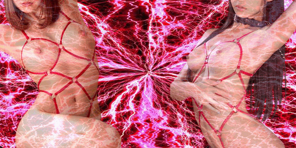 🚨ゲリライベント発動🚨